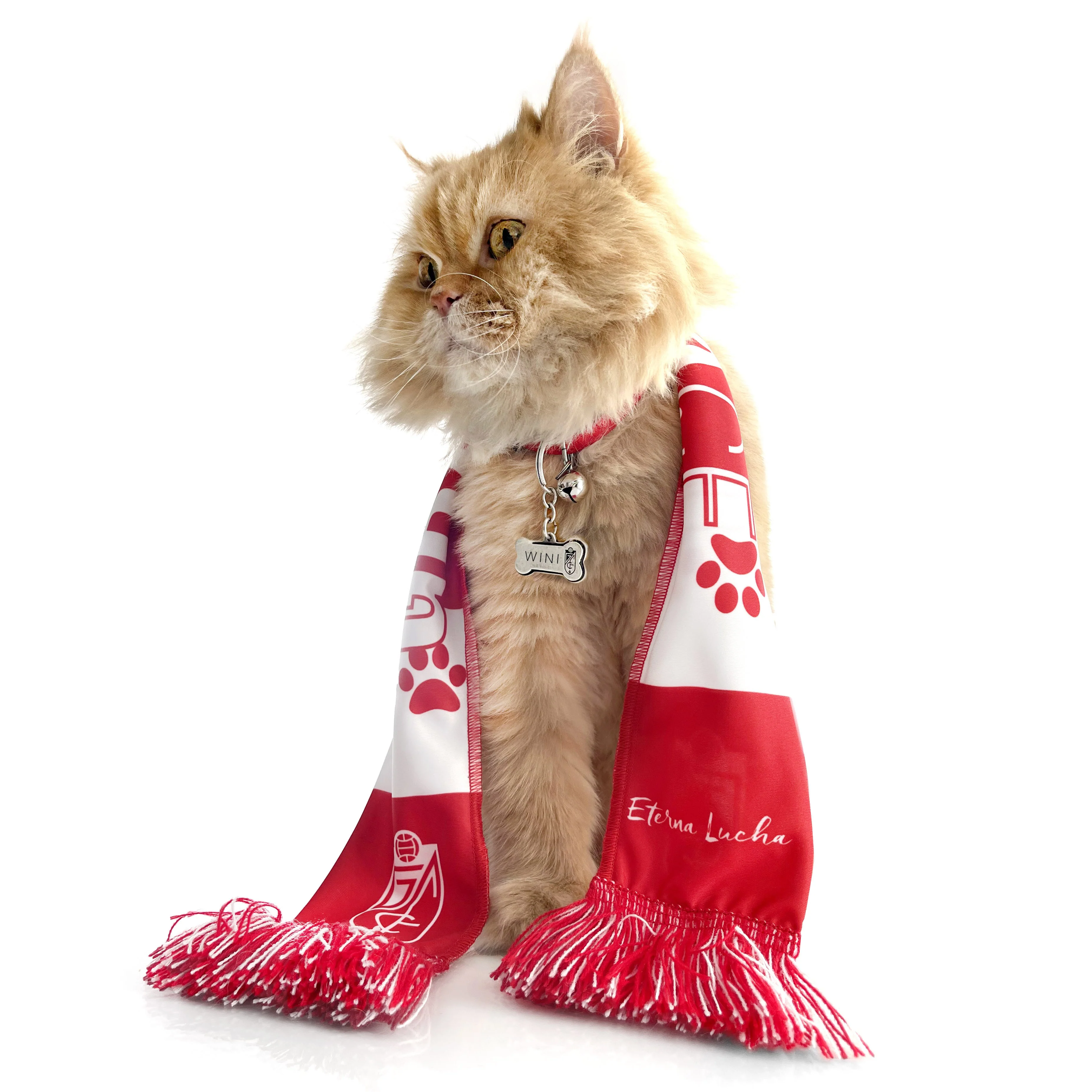 Bufanda Mascota Granada CF - Image 4